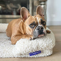 Teddy Fleece Memory Foam Sofa Pet Bed with Bolster - Cream Charlie's Pet Products