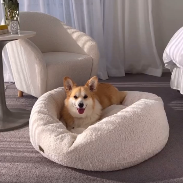 Teddy Fleece Round Donut Pet Bed - Cream Charlie's Pet Products