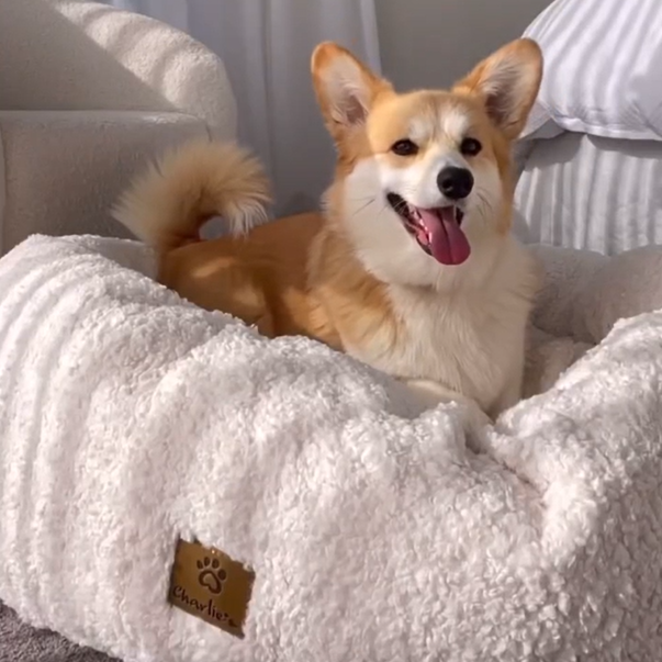 Teddy Fleece Round Donut Pet Bed - Cream Charlie's Pet Products