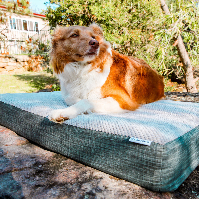 Universal Pet Mattress Charlie's Pet Products