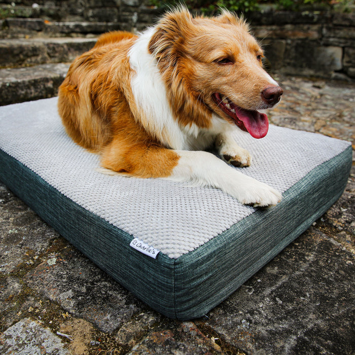 Universal Pet Mattress Charlie's Pet Products